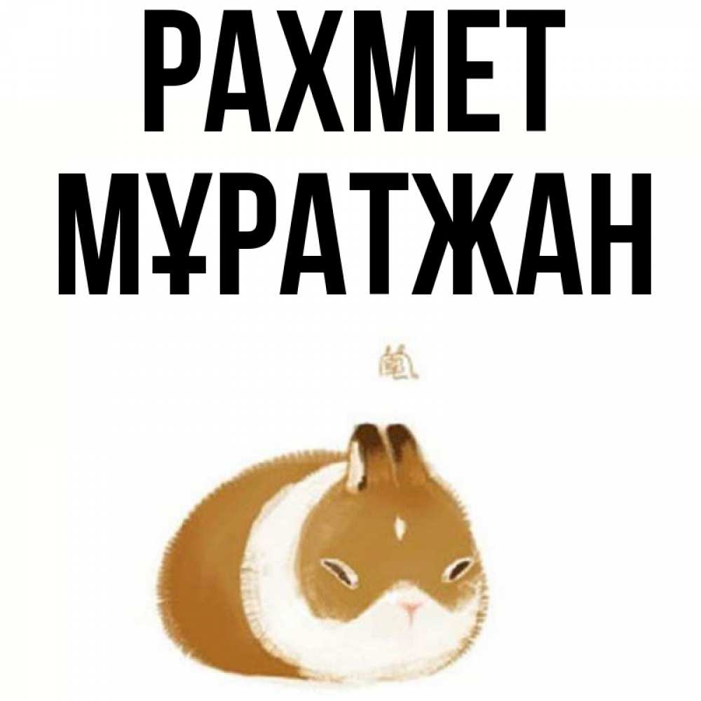 Күн сайын ашық хат с именем, Мұратжан рахмет коричнево белый домашний питомец Онлайн тегін жүктеп алу тілектері бар керемет карта 