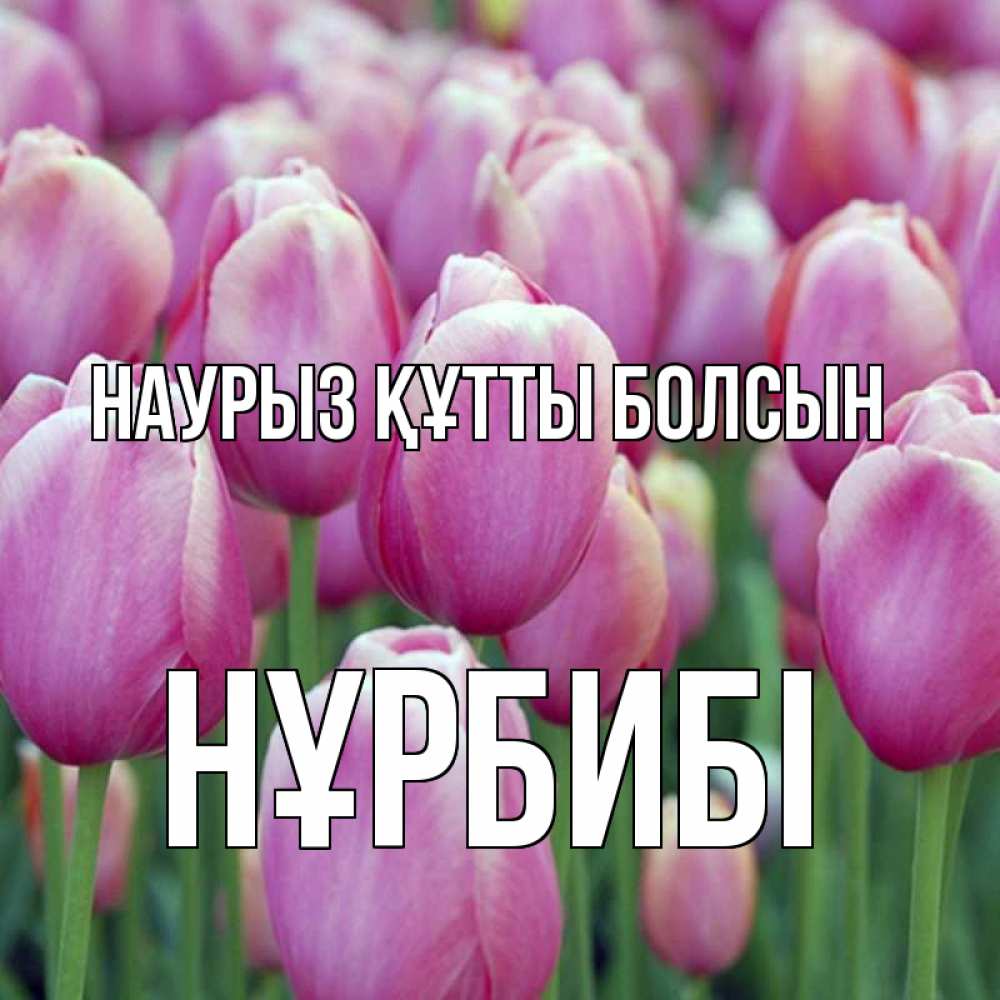 Күн сайын ашық хат с именем, НҰРБИБІ Наурыз құтты болсын на наурыз  день 3 Онлайн тегін жүктеп алу тілектері бар керемет карта 