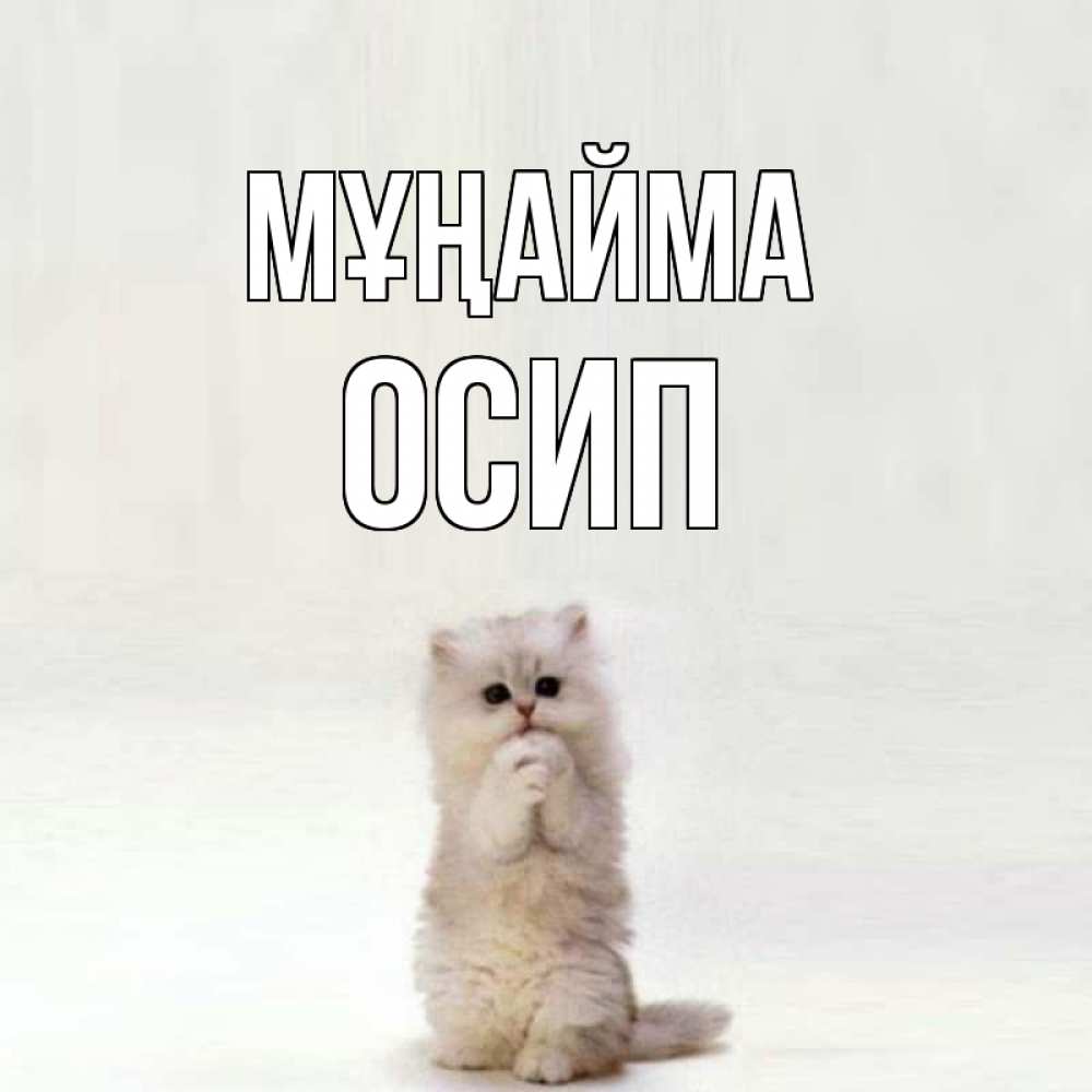 Күн сайын ашық хат с именем, Осип Мұңайма грустный кот Онлайн тегін жүктеп алу тілектері бар керемет карта 