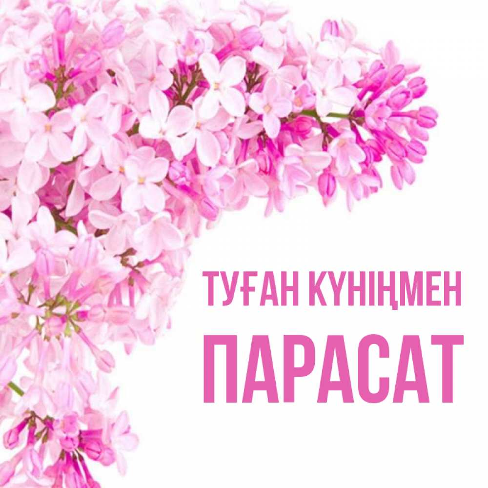 Күн сайын ашық хат с именем, ПАРАСАТ Туған күніңмен Сирень на белом фоне Онлайн тегін жүктеп алу тілектері бар керемет карта 