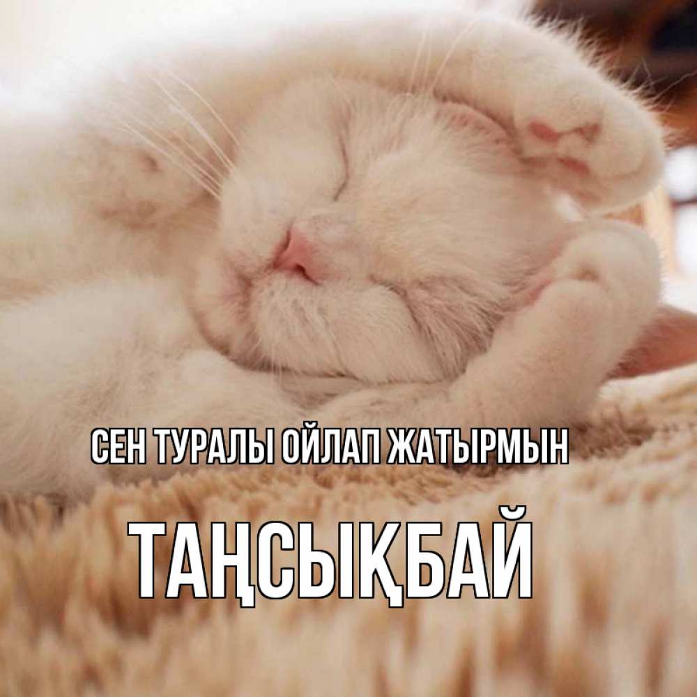 Күн сайын ашық хат с именем, ТАҢСЫҚБАЙ Сен туралы ойлап жатырмын для любимой девушки милота Онлайн тегін жүктеп алу тілектері бар керемет карта 
