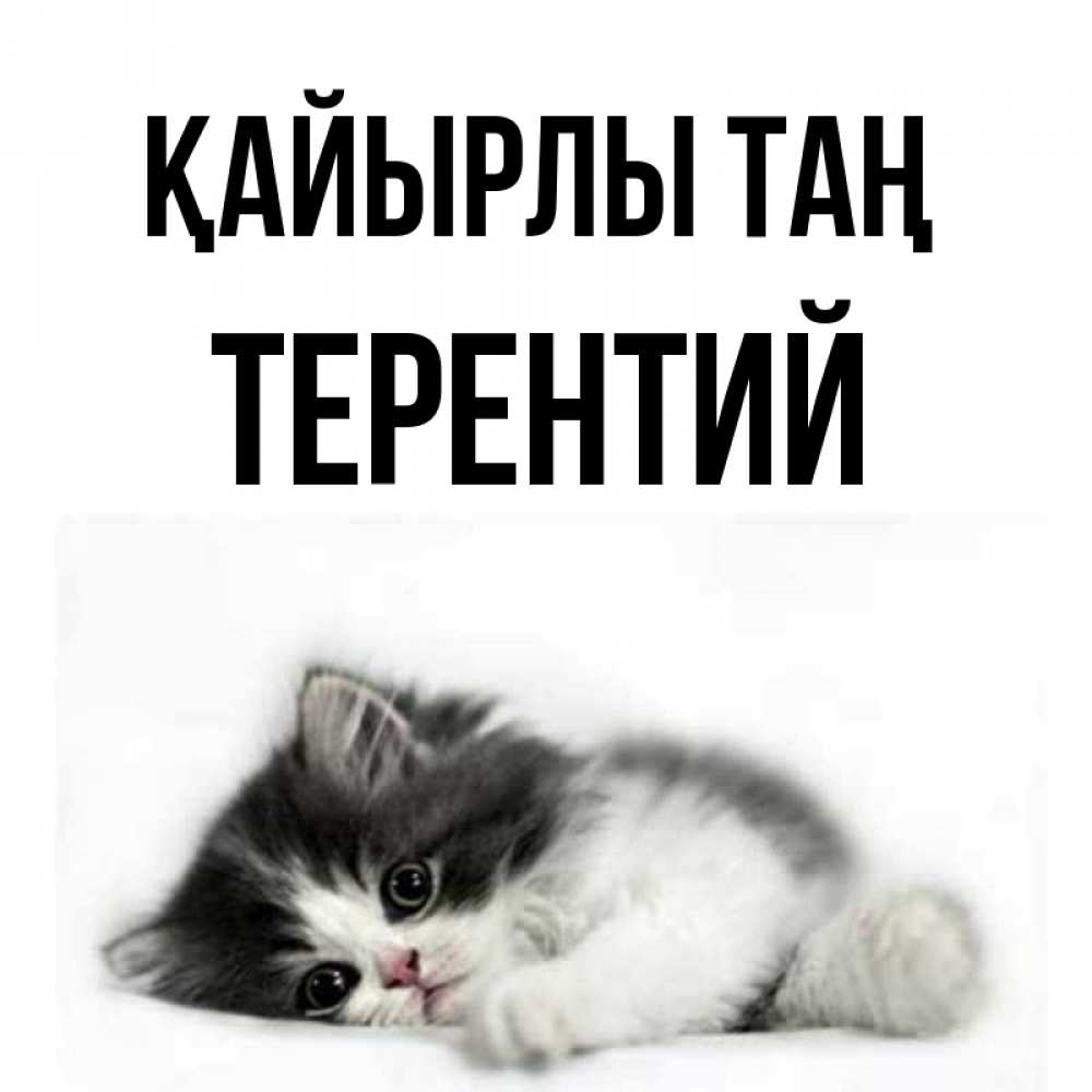 Күн сайын ашық хат с именем, Терентий Қайырлы таң кот лапки Онлайн тегін жүктеп алу тілектері бар керемет карта 