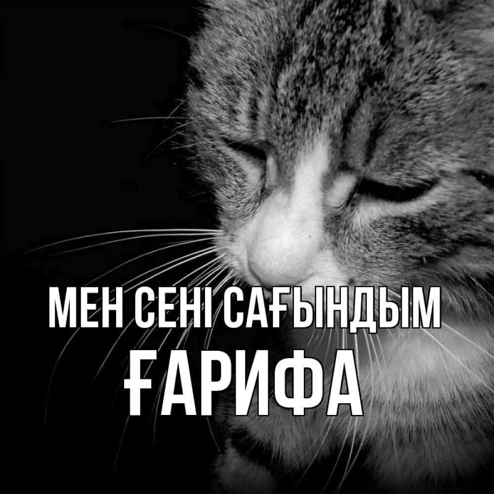Күн сайын ашық хат с именем, ҒАРИФА Мен сені сағындым мне скучно Онлайн тегін жүктеп алу тілектері бар керемет карта 