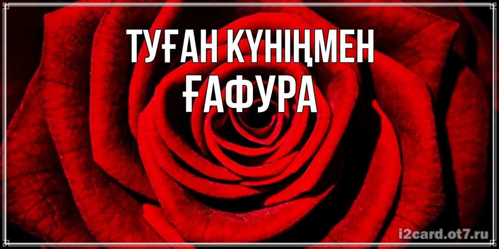 Күн сайын ашық хат с именем, ҒАФУРА Туған күніңмен алая роза Онлайн тегін жүктеп алу тілектері бар керемет карта 