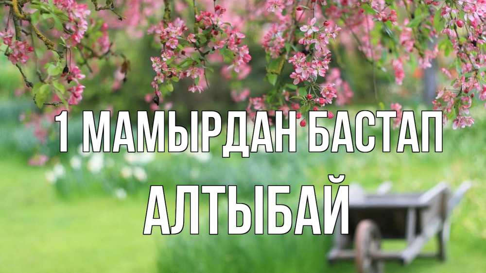 Күн сайын ашық хат с именем, Алтыбай 1 мамырдан бастап С 1 мая Онлайн тегін жүктеп алу тілектері бар керемет карта 