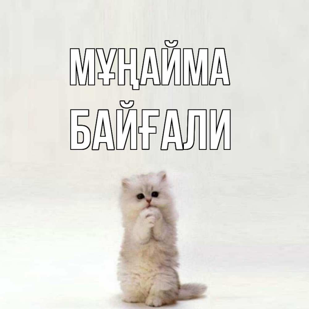 Күн сайын ашық хат с именем, Байғали Мұңайма грустный кот Онлайн тегін жүктеп алу тілектері бар керемет карта 
