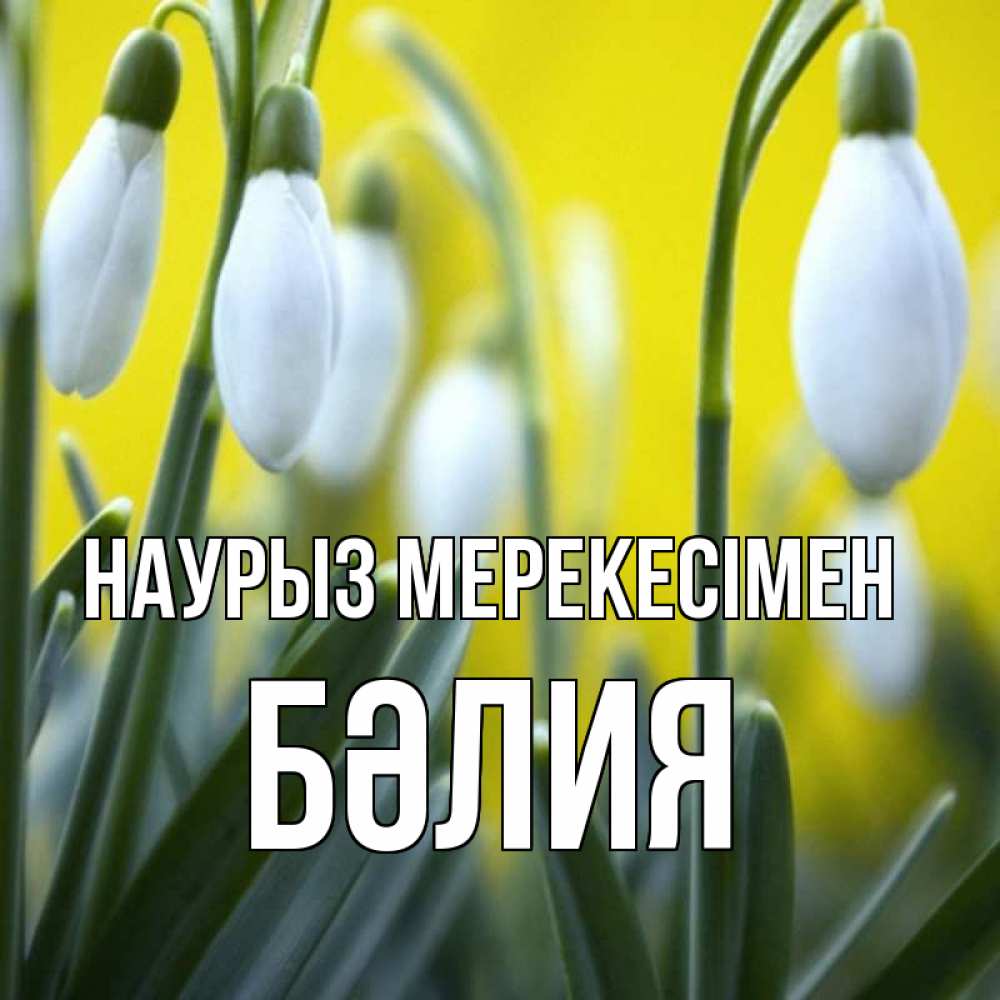 Күн сайын ашық хат с именем, БӘЛИЯ Наурыз мерекесімен весенние цветы Онлайн тегін жүктеп алу тілектері бар керемет карта 