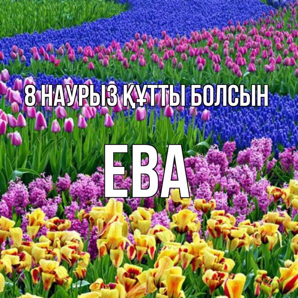 Күн сайын ашық хат с именем, Ева 8 наурыз құтты болсын цветы Онлайн тегін жүктеп алу тілектері бар керемет карта 
