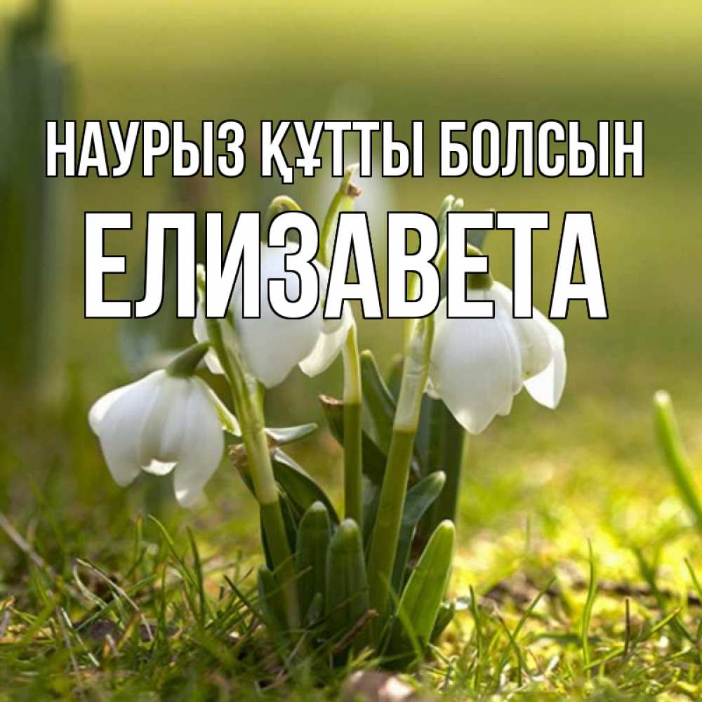 Күн сайын ашық хат с именем, Елизавета Наурыз құтты болсын ранние цветы 2 Онлайн тегін жүктеп алу тілектері бар керемет карта 