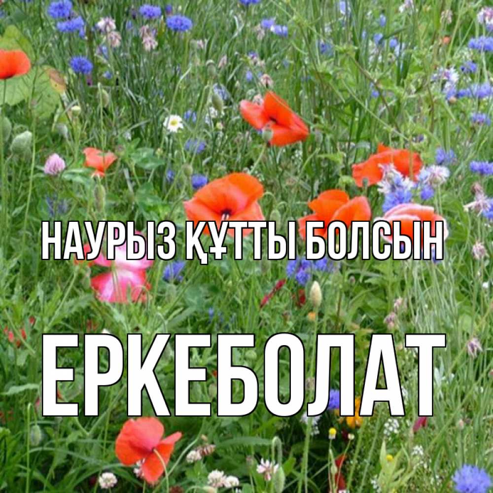 Күн сайын ашық хат с именем, Еркеболат Наурыз құтты болсын наурыз  4 Онлайн тегін жүктеп алу тілектері бар керемет карта 