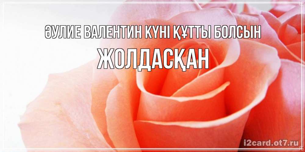 Күн сайын ашық хат с именем, Жолдасқан Әулие Валентин күні құтты болсын открытка на день Святого Валентина с розовой розой Онлайн тегін жүктеп алу тілектері бар керемет карта 