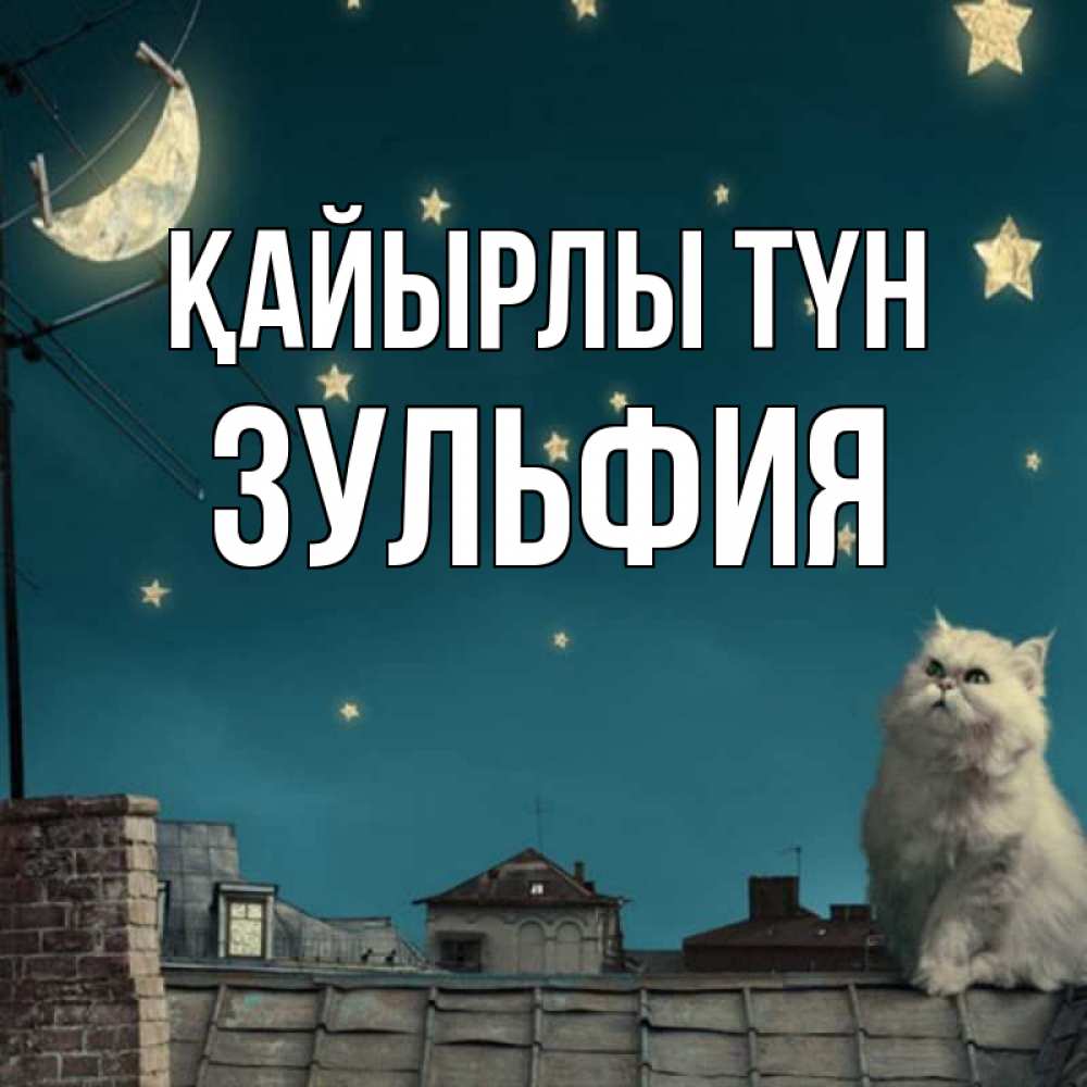 Күн сайын ашық хат с именем, Зульфия Қайырлы түн белый кот сидит на крыше Онлайн тегін жүктеп алу тілектері бар керемет карта 