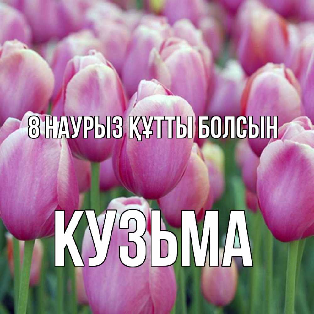 Күн сайын ашық хат с именем, Кузьма 8 наурыз құтты болсын на международный женский день 3 Онлайн тегін жүктеп алу тілектері бар керемет карта 