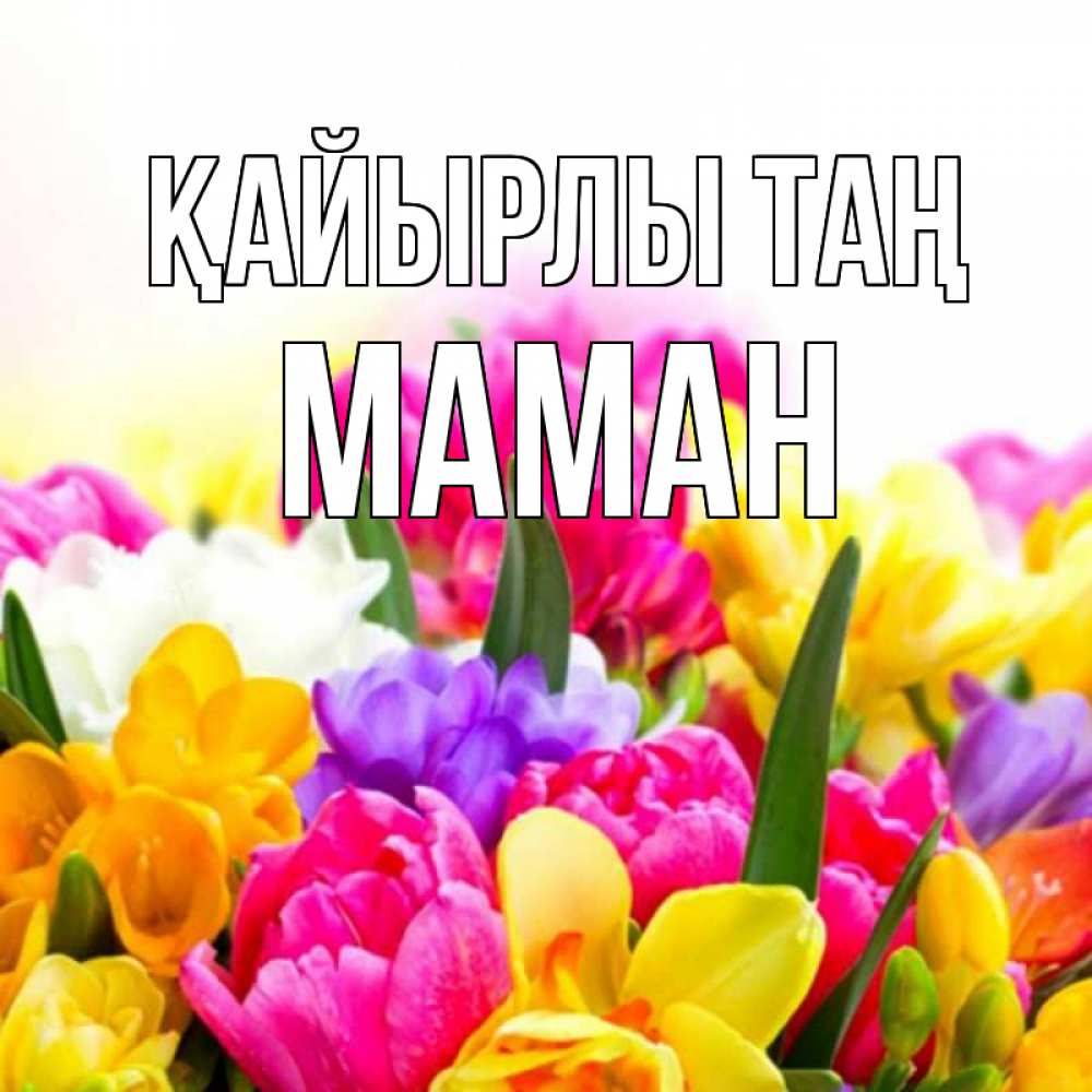 Күн сайын ашық хат с именем, МАМАН Қайырлы таң создать открытку со свое подписью Онлайн тегін жүктеп алу тілектері бар керемет карта 