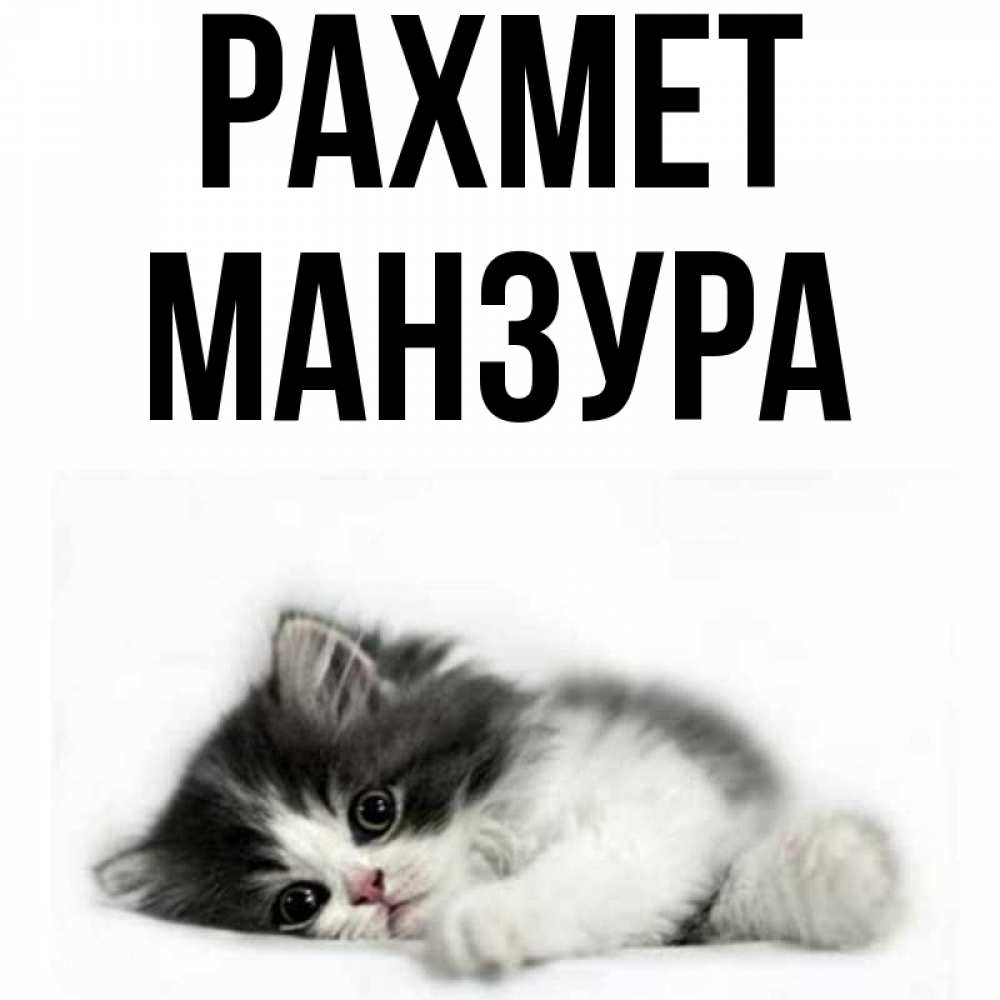 Күн сайын ашық хат с именем, МАНЗУРА рахмет черный и белый кот Онлайн тегін жүктеп алу тілектері бар керемет карта 