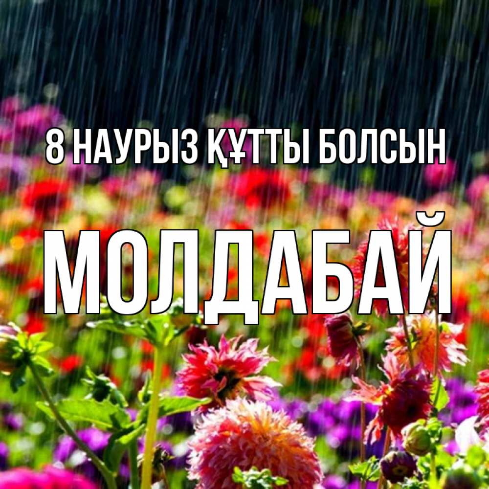 Күн сайын ашық хат с именем, МОЛДАБАЙ 8 наурыз құтты болсын цветы под дождиком к международному женскому дню Онлайн тегін жүктеп алу тілектері бар керемет карта 