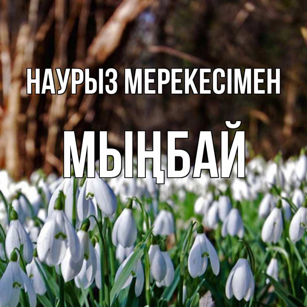 Күн сайын ашық хат с именем, МЫҢБАЙ Наурыз мерекесімен с подснежниками 1 Онлайн тегін жүктеп алу тілектері бар керемет карта 