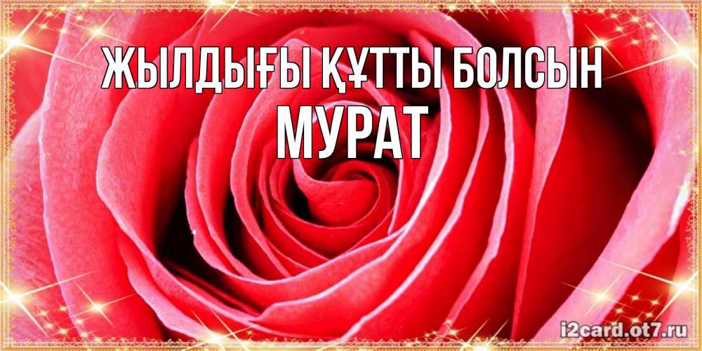 Күн сайын ашық хат с именем, Мурат Жылдығы құтты болсын розовая роза очень крупный бутон Онлайн тегін жүктеп алу тілектері бар керемет карта 