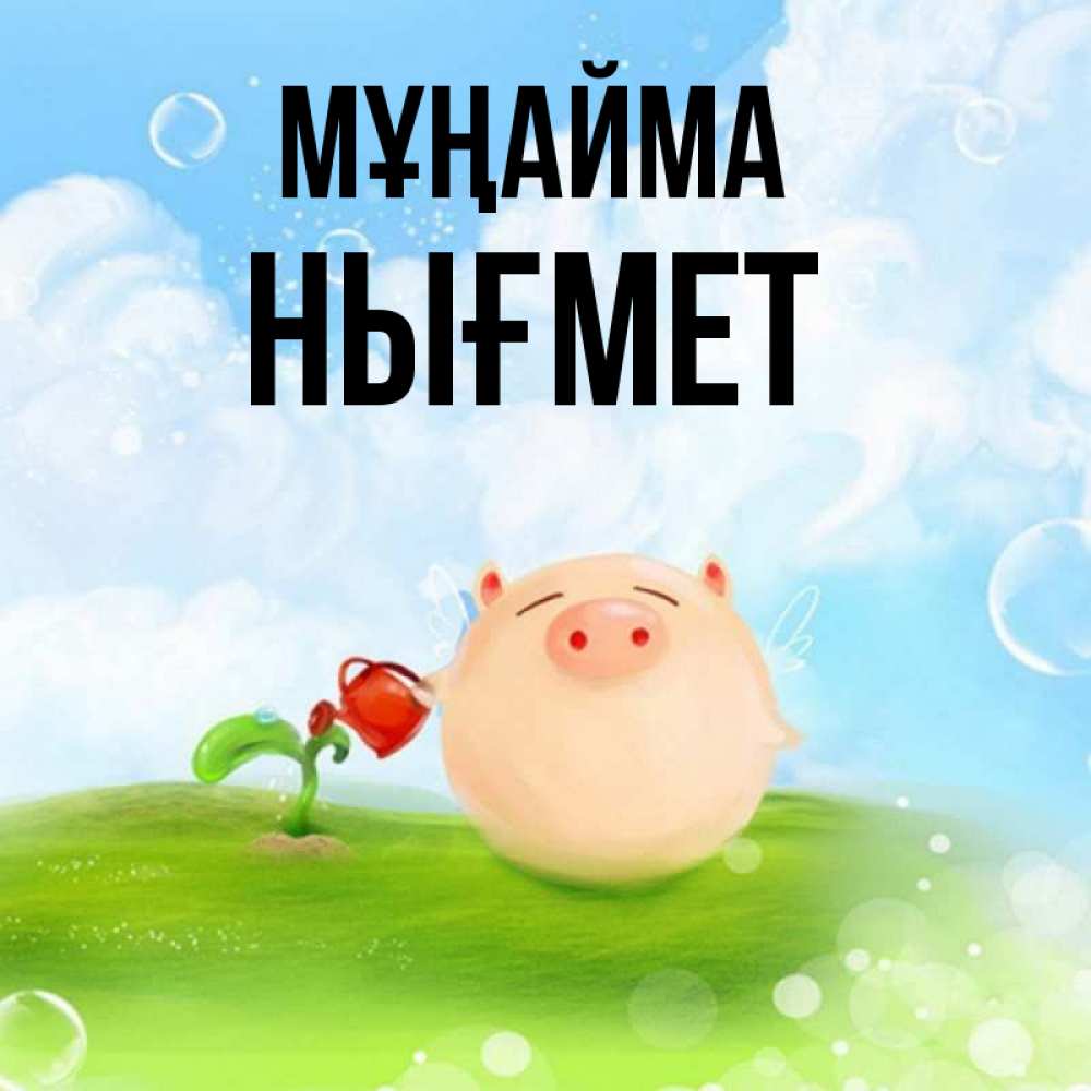 Күн сайын ашық хат с именем, НЫҒМЕТ Мұңайма поливает цветок порося Онлайн тегін жүктеп алу тілектері бар керемет карта 