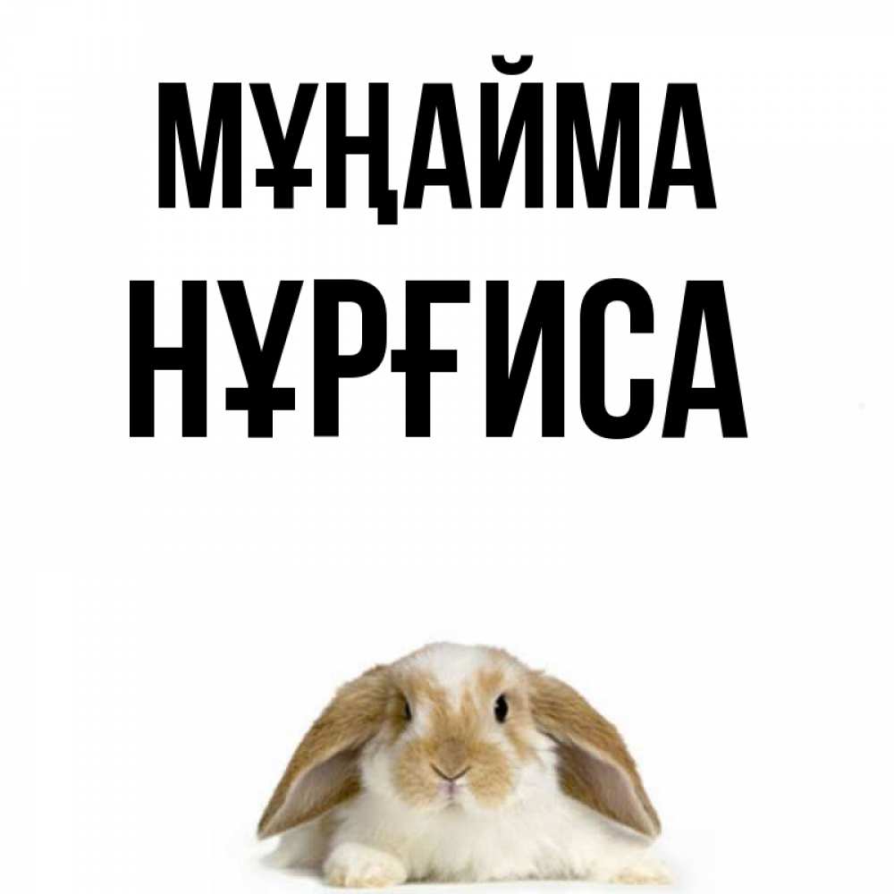 Күн сайын ашық хат с именем, НҰРҒИСА Мұңайма коричнево белый заяц с большими ушками Онлайн тегін жүктеп алу тілектері бар керемет карта 