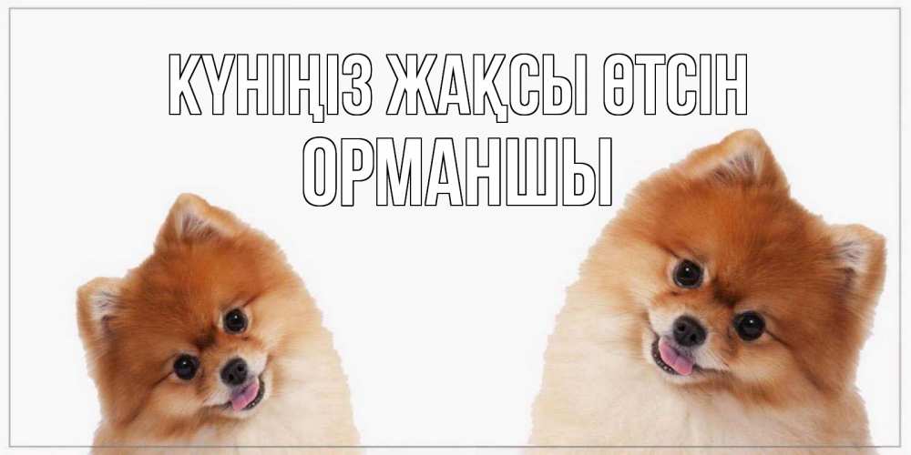 Күн сайын ашық хат с именем, ОРМАНШЫ Күніңіз жақсы өтсін собачки желают прекрасного дня Онлайн тегін жүктеп алу тілектері бар керемет карта 