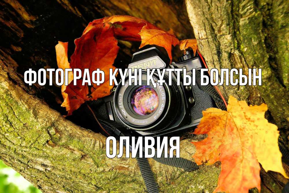 Күн сайын ашық хат с именем, Оливия Фотограф күні құтты болсын с днем фотографа 1 Онлайн тегін жүктеп алу тілектері бар керемет карта 
