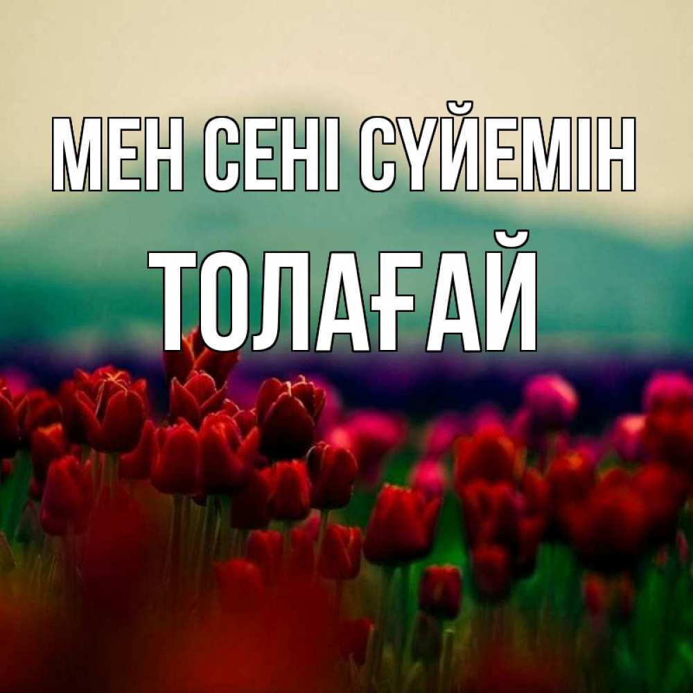 Күн сайын ашық хат с именем, ТОЛАҒАЙ Мен сені сүйемін тюльпаны 4 Онлайн тегін жүктеп алу тілектері бар керемет карта 