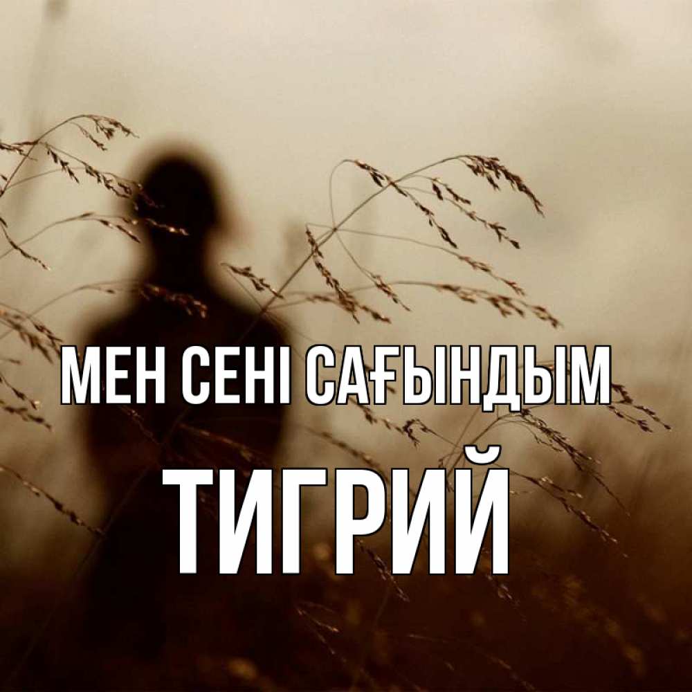 Күн сайын ашық хат с именем, Тигрий Мен сені сағындым силуэт девушки Онлайн тегін жүктеп алу тілектері бар керемет карта 