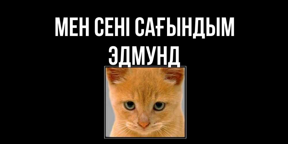 Күн сайын ашық хат с именем, Эдмунд Мен сені сағындым открытки рыжий котенок скучает по тебе Онлайн тегін жүктеп алу тілектері бар керемет карта 