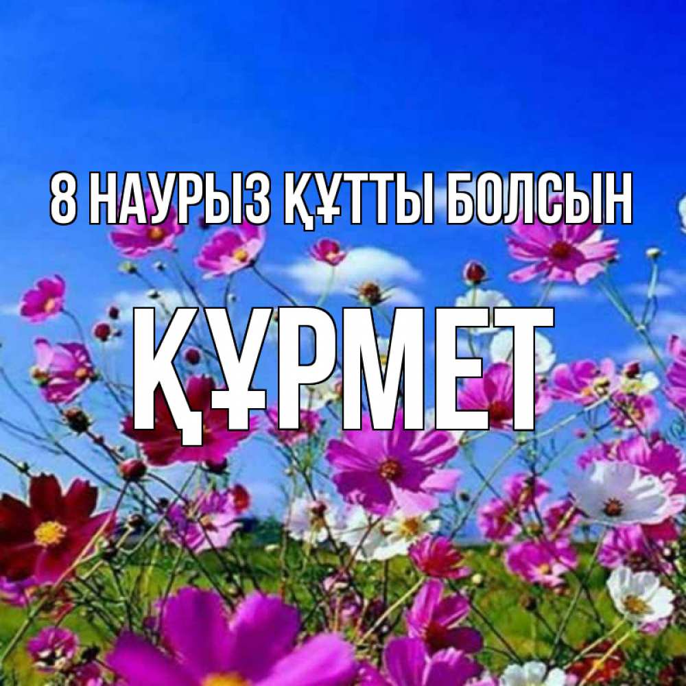 Күн сайын ашық хат с именем, ҚҰРМЕТ 8 наурыз құтты болсын цветы Онлайн тегін жүктеп алу тілектері бар керемет карта 