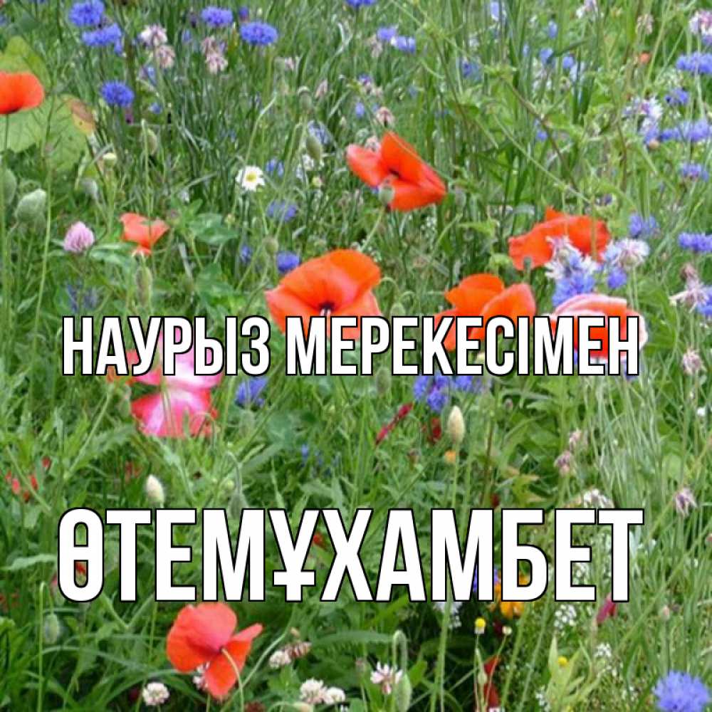 Күн сайын ашық хат с именем, ӨТЕМҰХАМБЕТ Наурыз мерекесімен праздник весны наурыз супер открытка Онлайн тегін жүктеп алу тілектері бар керемет карта 