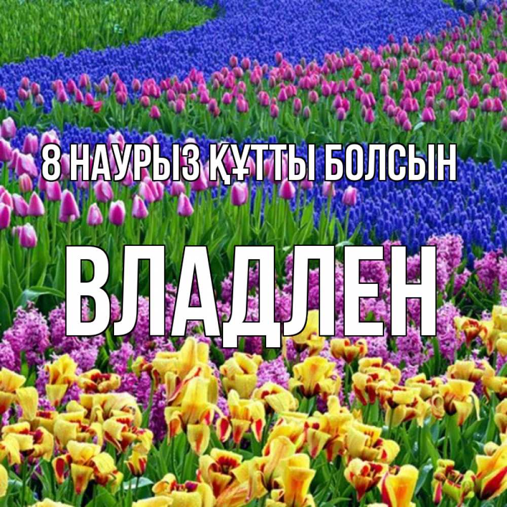 Күн сайын ашық хат с именем, Владлен 8 наурыз құтты болсын цветы Онлайн тегін жүктеп алу тілектері бар керемет карта 