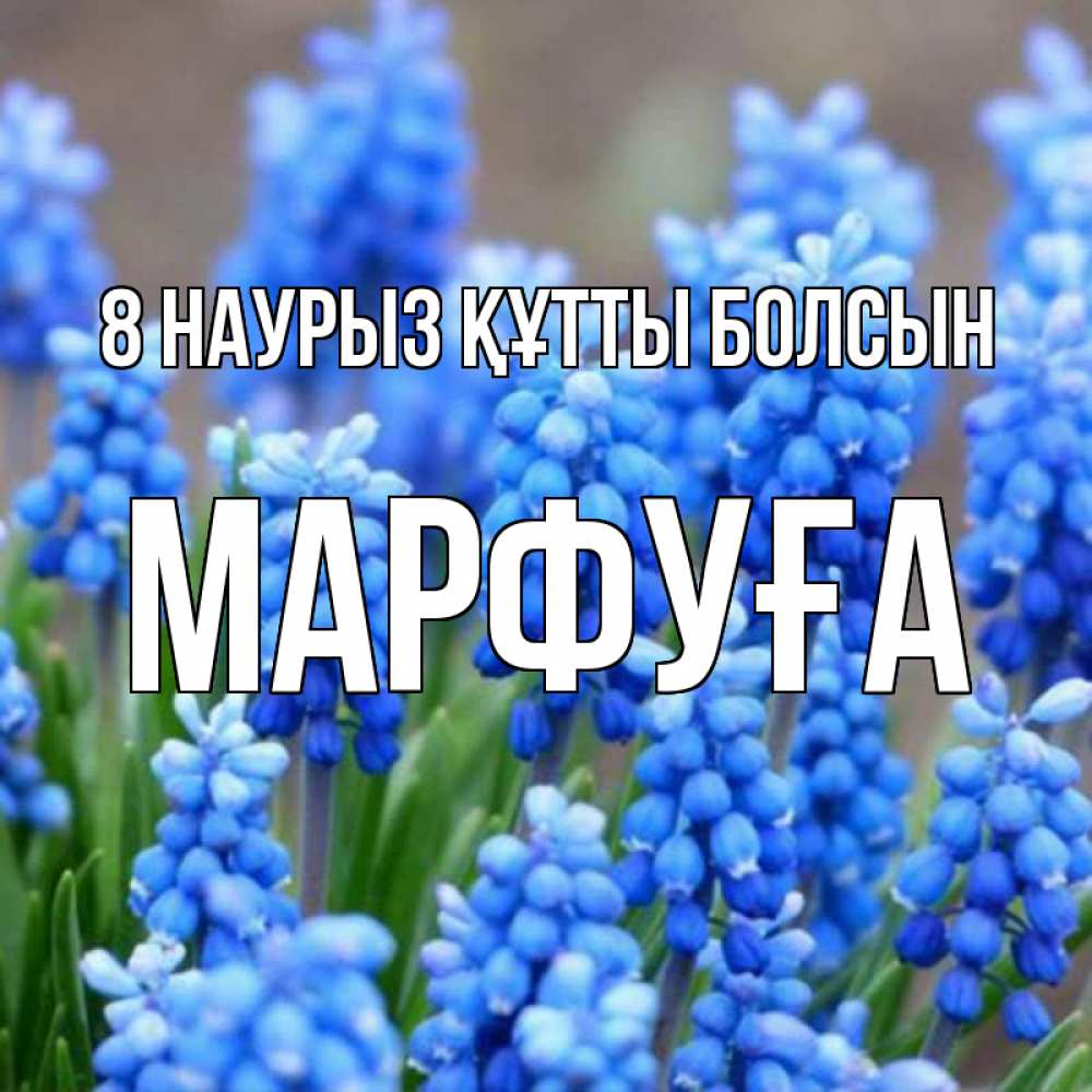 Күн сайын ашық хат с именем, МАРФУҒА 8 наурыз құтты болсын Поздравительная открытка для женщин с цветами на праздничную дату Онлайн тегін жүктеп алу тілектері бар керемет карта 