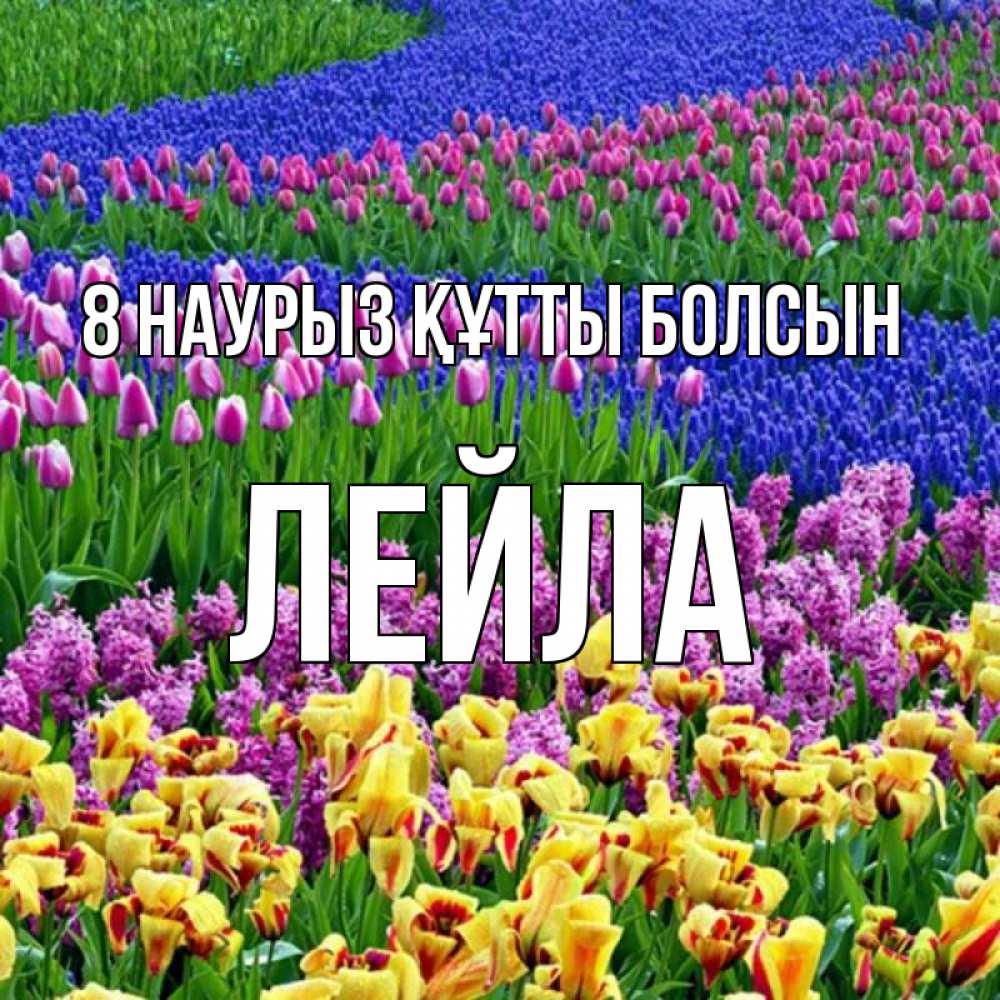 Күн сайын ашық хат с именем, Лейла 8 наурыз құтты болсын цветы Онлайн тегін жүктеп алу тілектері бар керемет карта 