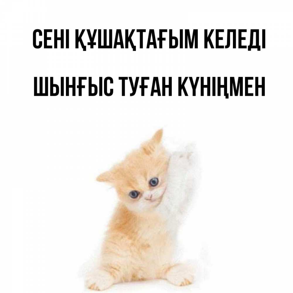 Картинка сені құшақтағым келеді, ШЫНҒЫС! ТУҒАН КҮНІҢМЕН!