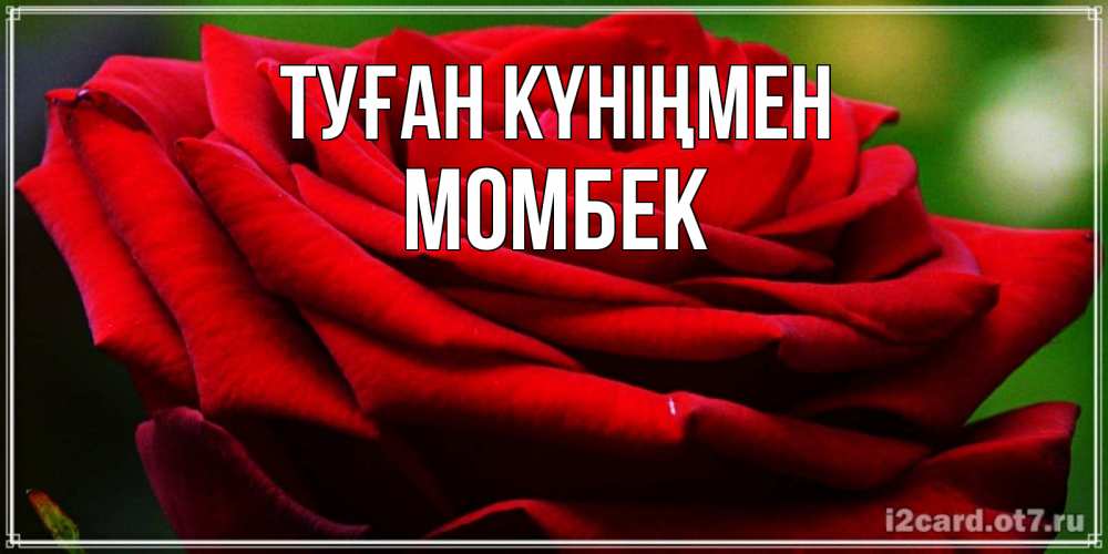 Күн сайын ашық хат с именем, МОМБЕК Туған күніңмен розочка очень красивая Онлайн тегін жүктеп алу тілектері бар керемет карта 