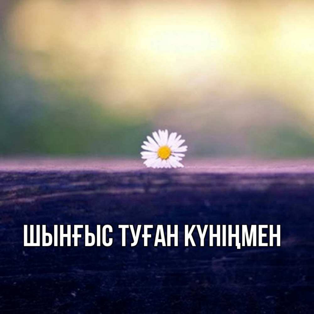 Картинка  с именем , ШЫНҒЫС! ТУҒАН КҮНІҢМЕН!