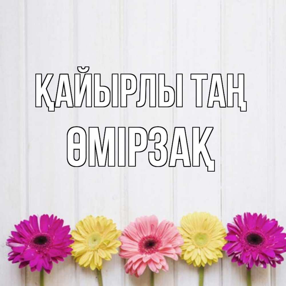 Күн сайын ашық хат с именем, ӨМІРЗАҚ Қайырлы таң красный желтый и розовый цветок Онлайн тегін жүктеп алу тілектері бар керемет карта 
