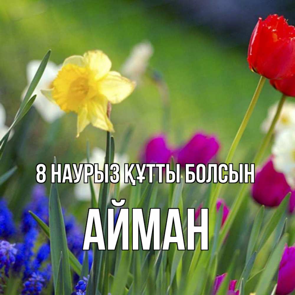 Күн сайын ашық хат с именем, АЙМАН 8 наурыз құтты болсын международный женский день 3 Онлайн тегін жүктеп алу тілектері бар керемет карта 