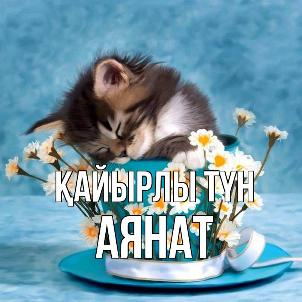 Күн сайын ашық хат с именем, АЯНАТ Қайырлы түн котенок спит в кружке с блюдцем Онлайн тегін жүктеп алу тілектері бар керемет карта 