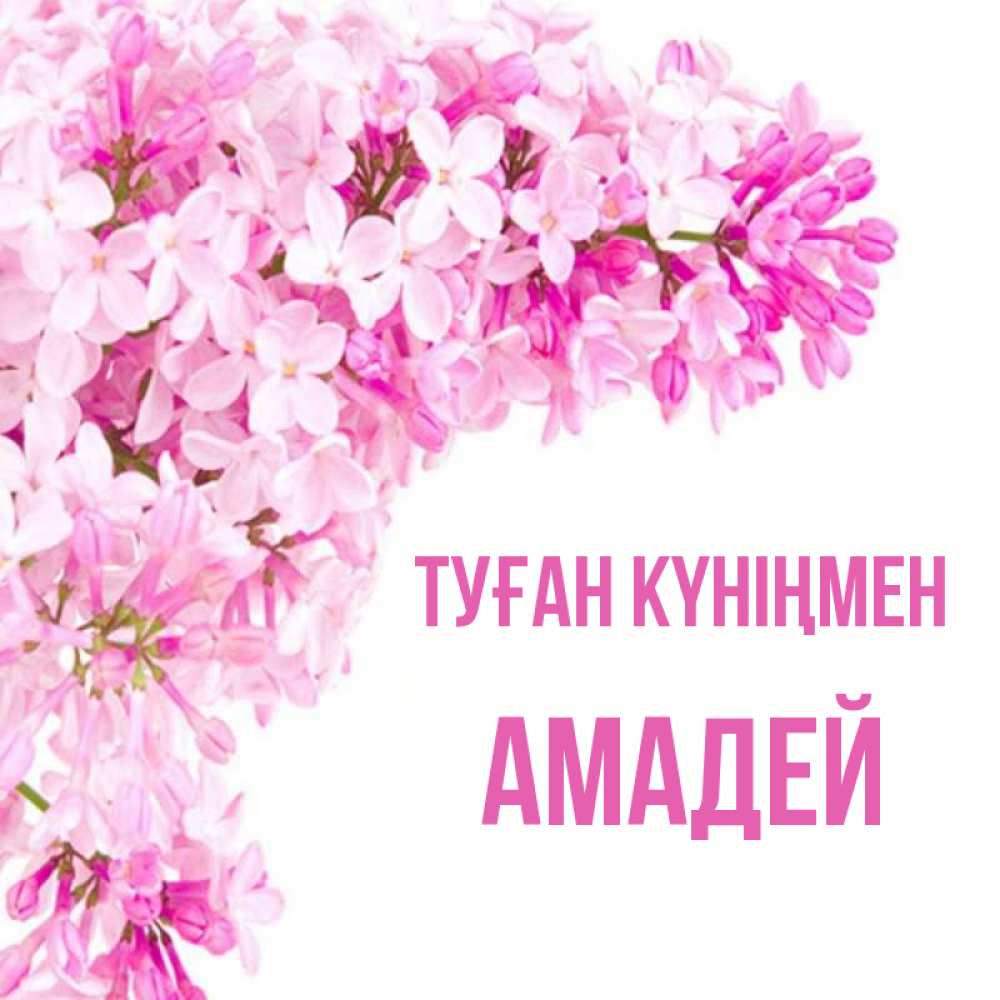 Күн сайын ашық хат с именем, Амадей Туған күніңмен Сирень на белом фоне Онлайн тегін жүктеп алу тілектері бар керемет карта 