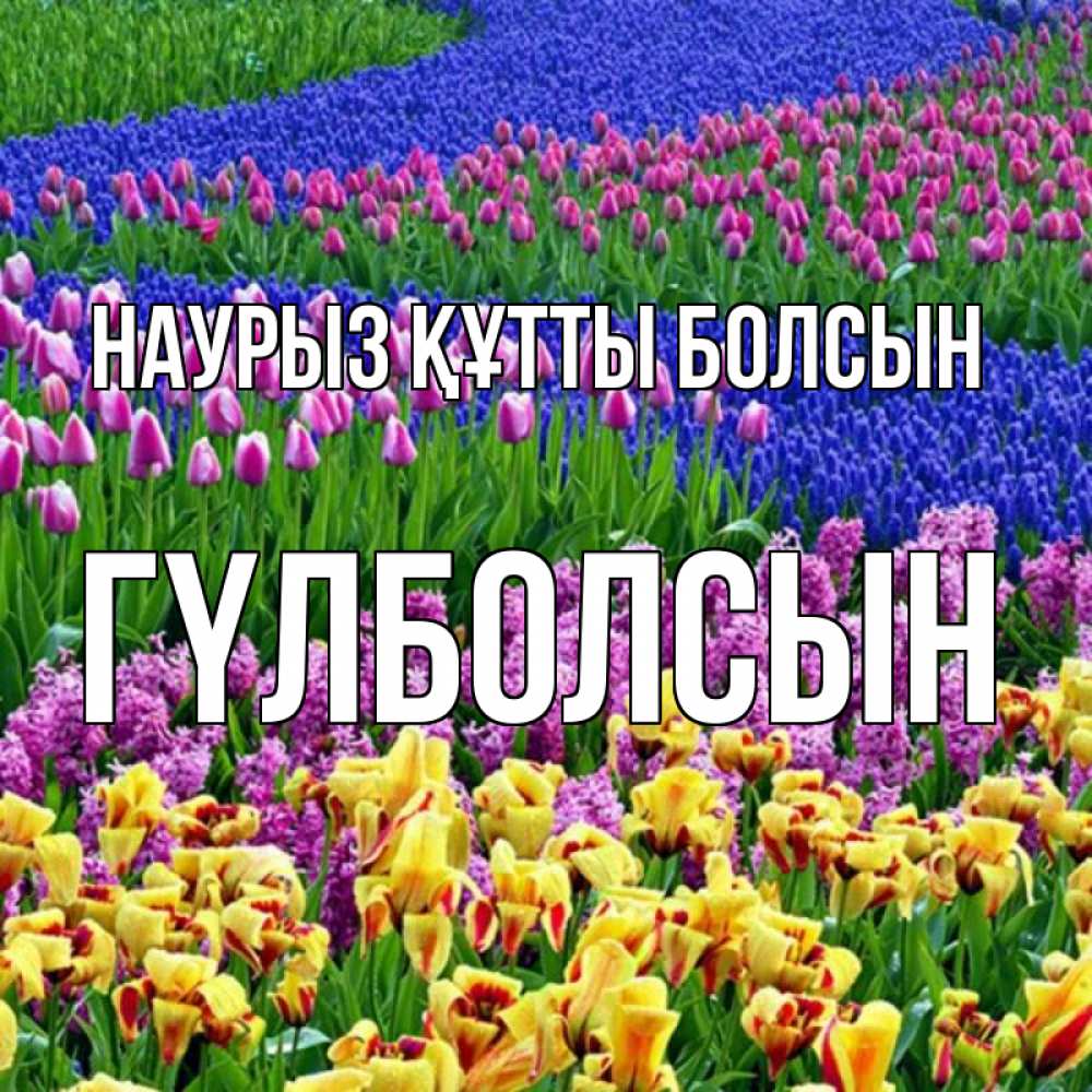 Күн сайын ашық хат с именем, ГҮЛБОЛСЫН Наурыз құтты болсын цветы Онлайн тегін жүктеп алу тілектері бар керемет карта 