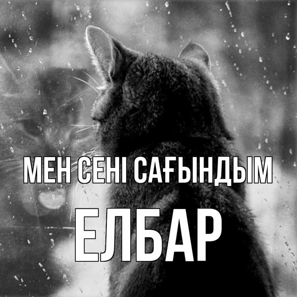 Күн сайын ашық хат с именем, Елбар Мен сені сағындым скорее ко мне приходи 1 Онлайн тегін жүктеп алу тілектері бар керемет карта 