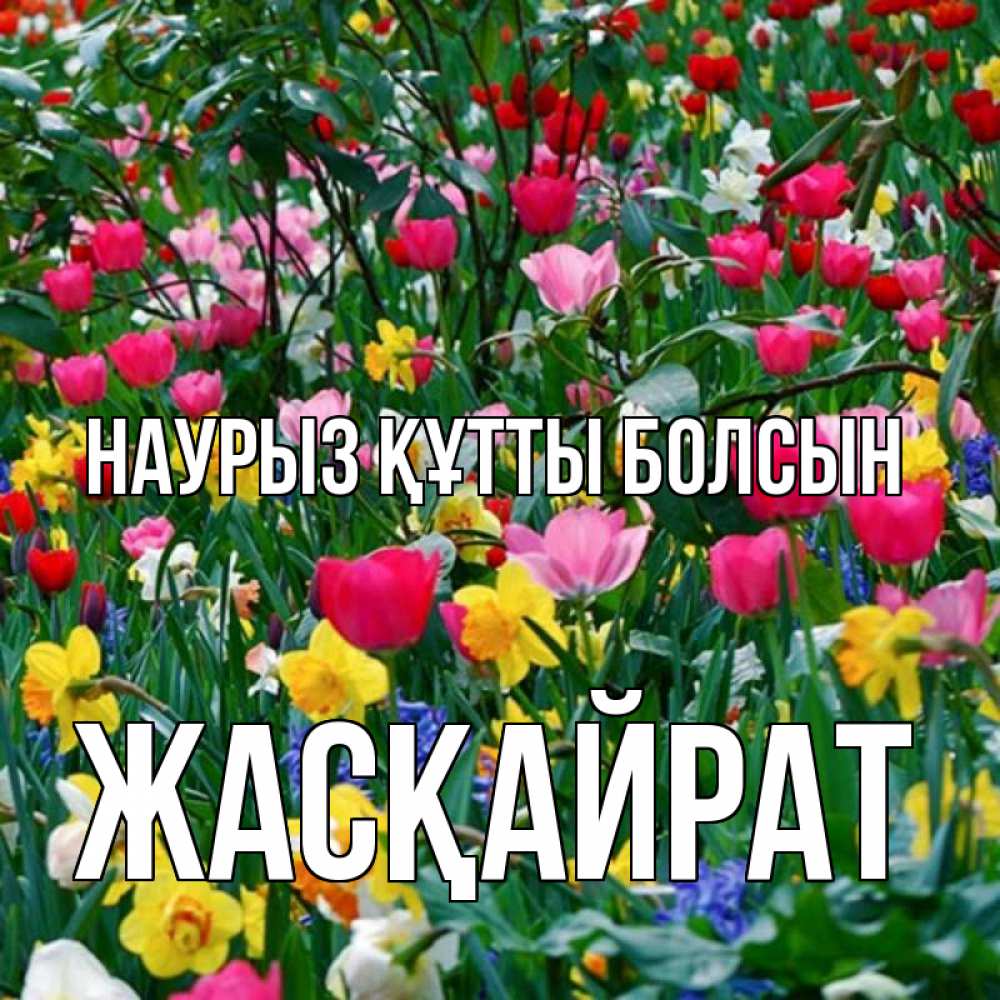 Күн сайын ашық хат с именем, Жасқайрат Наурыз құтты болсын с наурызом поздравления для женщины Онлайн тегін жүктеп алу тілектері бар керемет карта 