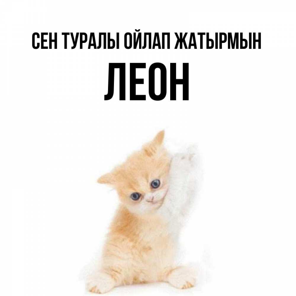 Күн сайын ашық хат с именем, Леон Сен туралы ойлап жатырмын зверушки и милота Онлайн тегін жүктеп алу тілектері бар керемет карта 
