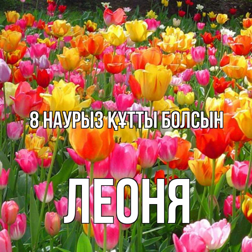 Күн сайын ашық хат с именем, Леоня 8 наурыз құтты болсын на международный женский день Онлайн тегін жүктеп алу тілектері бар керемет карта 