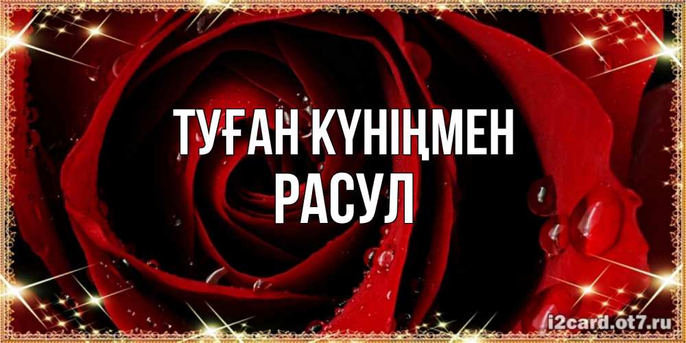 Күн сайын ашық хат с именем, РАСУЛ Туған күніңмен цветок в росе на день рождения Онлайн тегін жүктеп алу тілектері бар керемет карта 
