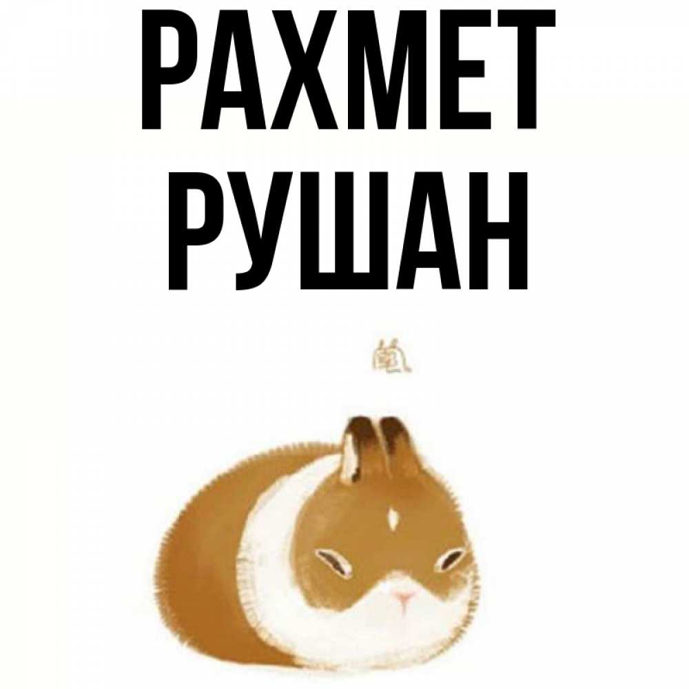 Күн сайын ашық хат с именем, Рушан рахмет коричнево белый домашний питомец Онлайн тегін жүктеп алу тілектері бар керемет карта 