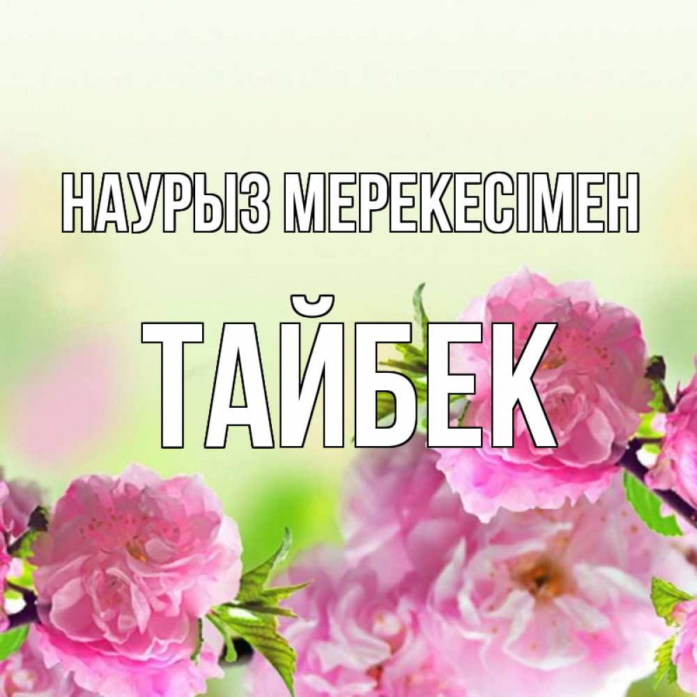 Күн сайын ашық хат с именем, ТАЙБЕК Наурыз мерекесімен цветы Онлайн тегін жүктеп алу тілектері бар керемет карта 