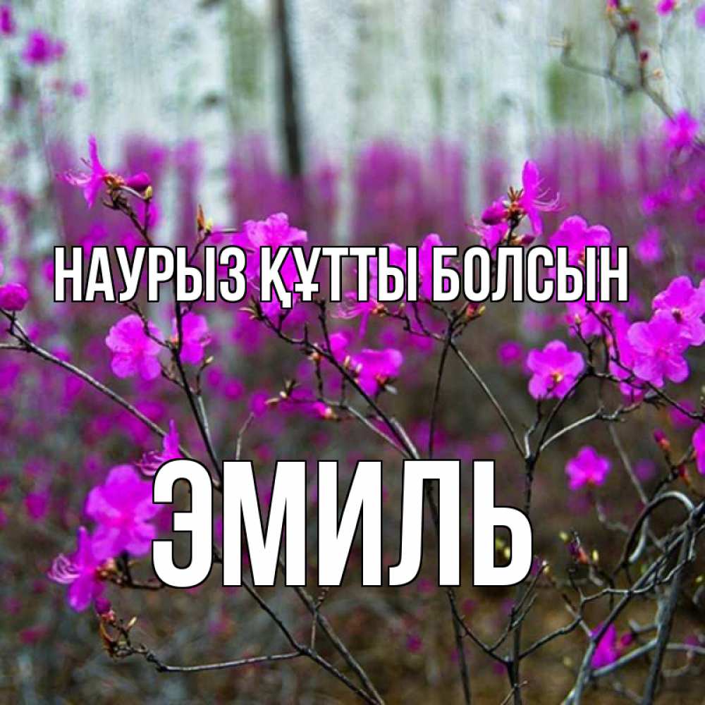 Күн сайын ашық хат с именем, Эмиль Наурыз құтты болсын дикие цветы Онлайн тегін жүктеп алу тілектері бар керемет карта 